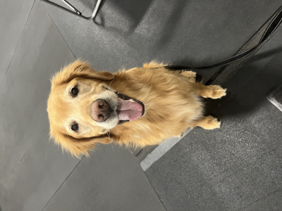 Indy