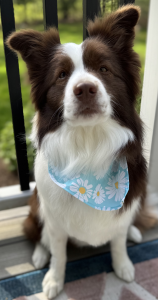 Lucy