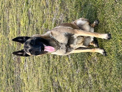Keeva