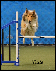 Kate